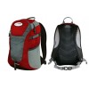 Рюкзак Terra Incognita Link 16 Red-Grey (TI-03965)