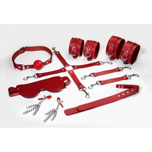 Набір Feral Feelings BDSM Kit 7 Red, наручники, поножі, конектор, маска, падл, кляп, затискачі в інтернет супермаркеті PbayMarket!