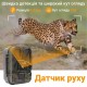 Фотопастка 4G камера для полювання 10000 мАг Suntek HC-940Pro (100968)