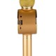 Дитячий мікрофон Wster з функцією караоке USB, microSD, AUX, Bluetooth WS 669 Золотий