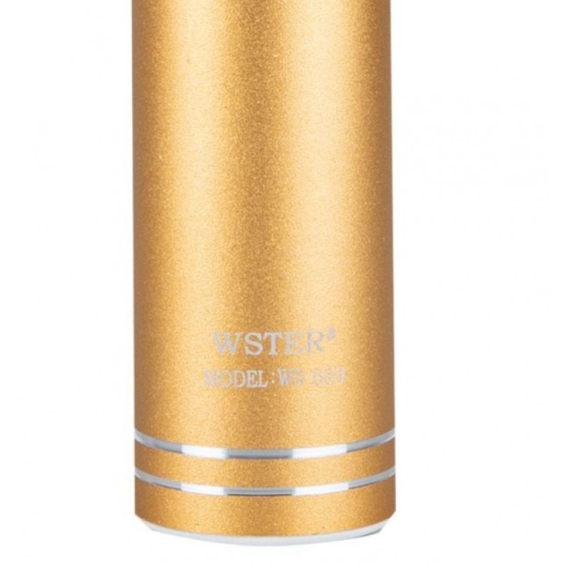 Дитячий мікрофон Wster з функцією караоке USB, microSD, AUX, Bluetooth WS 669 Золотий