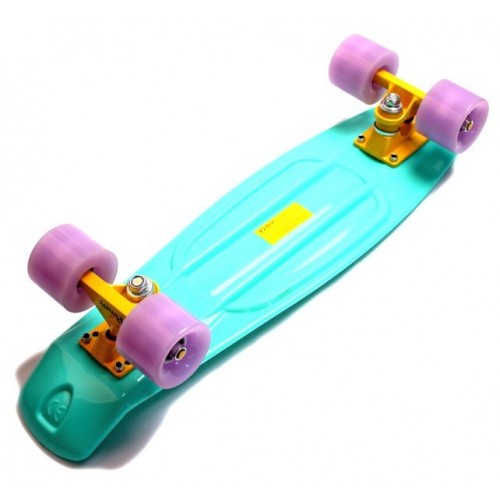 Пенні борд Penny board Turquoise (1819484818) Пенні борд Penny board Turquoise (1819484818)