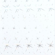 Панель ПВХ пластикова вагонка для стін та стелі RL 3033 Галактика біла Riko