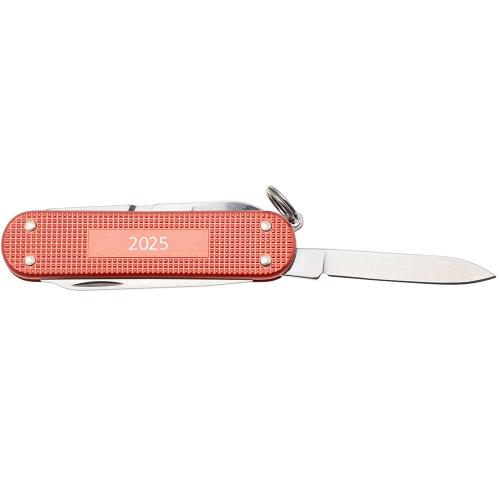 Складаний швейцарський ніж Victorinox Classic SD Stone Red 5,8 см Червоний (0.6221.L25) Складаний швейцарський ніж Victorinox Classic SD Stone Red 5,8 см Червоний (0.6221.L25)