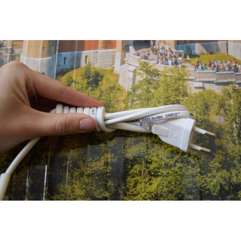 Обігрівач-картина інфрачервоний настінний ТРІО 400W 100 х 57 см, замок