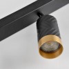 Спот Polux Arras 5.5x119.5x16.5 см Чорно-золотистий (Pol323576)
