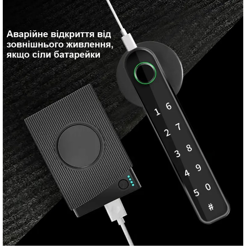Біометричний розумний кодовий смарт замок на міжкімнатні двері Badodo Security 196