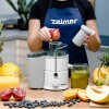 Соковитискач ZELMER ZJE3800 600 Вт Біло-сірий (74723592)