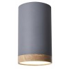 Точковий світильник Candellux Tuba Сірий (2282879)