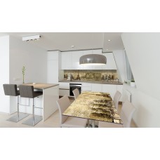 Наклейка вінілова на стіл Zatarga «Старий Париж» 650х1200 мм Z180614/1st