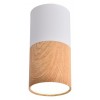 Точковий світильник Candellux Tuba Білий (2273655)