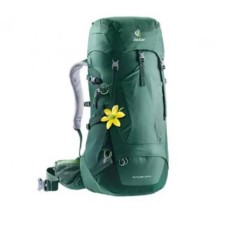 Рюкзак Deuter Futura 28 SL Seagreen-Forest (1052-3400618 2247)