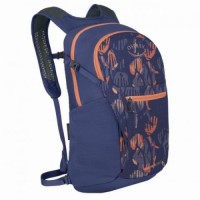 Рюкзак Osprey Daylite Plus 20 л Purple/Orange (1054-009.3628)