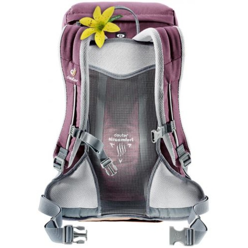 Рюкзак Deuter Zugspitze 22 SL Aubergine-Lion (1052-3430016 5607)