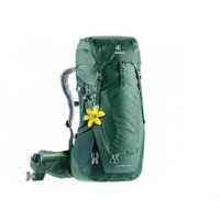 Рюкзак Deuter Futura 24 SL Seagreen-Forest (1052-3400218 2247 sam)