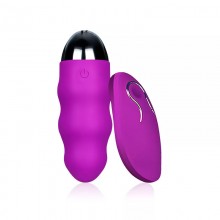 Віброяйце We Love фіолетового кольору з пультом ДК (USB)